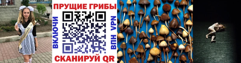 продажа наркотиков  Ува  Псилоцибиновые грибы GOLDEN TEACHER 